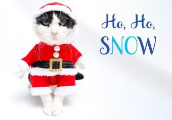 https://cf.ltkcdn.net/cats/images/slide/252087-850x595-1_Cat_Santa_Outfit_meme.jpg