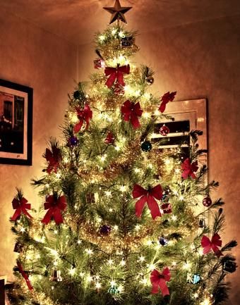 https://cf.ltkcdn.net/christmas/images/slide/183204-668x850-tree-with-red-bows.jpg