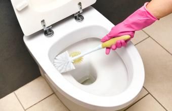 limpar banheiro com escova de vaso sanitário
