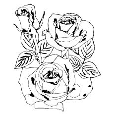 Страница за оцветяване с красиви три рози