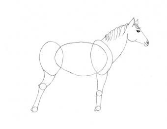 https://cf.ltkcdn.net/crafts/images/slide/195560-597x464-9-Horse-lower-legs-new-v1.jpg