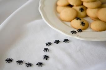 broma de hormiga falsa en galletas
